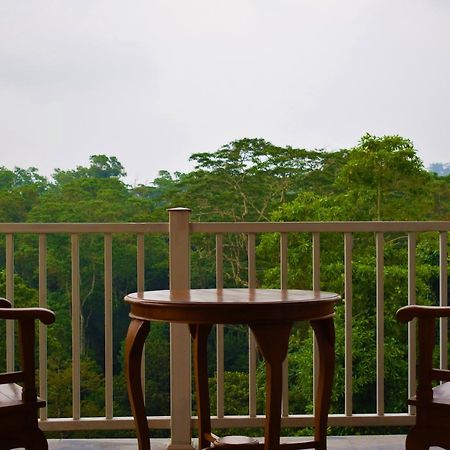 Bee View Home Stay Kandy Buitenkant foto