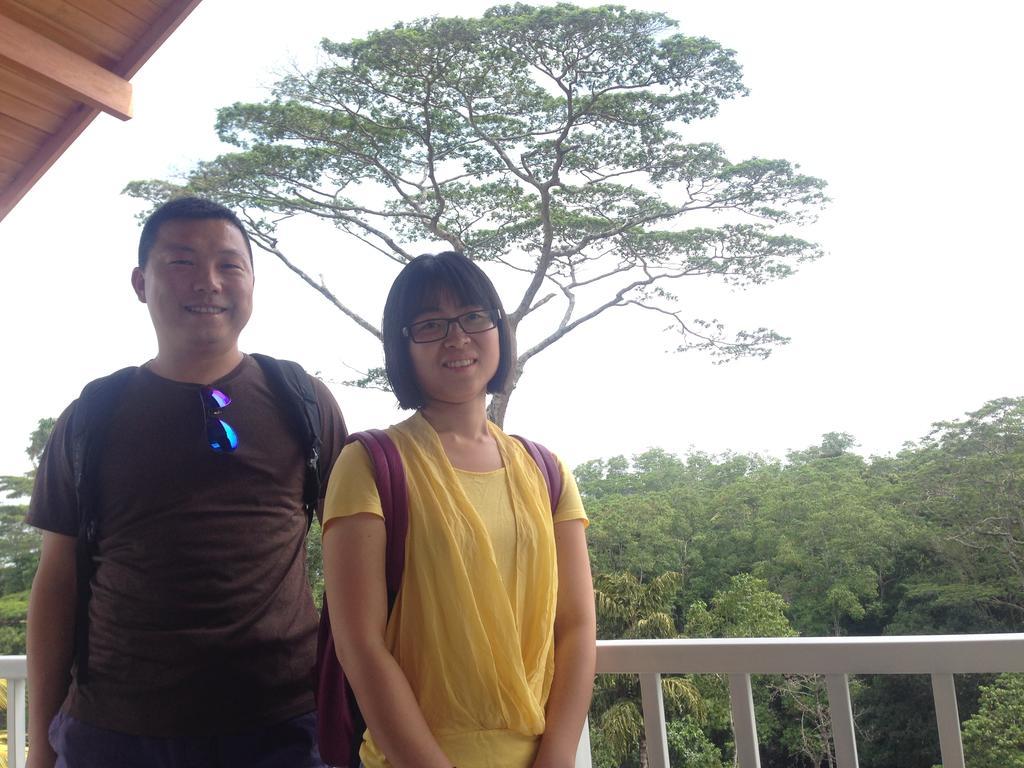 Bee View Home Stay Kandy Buitenkant foto